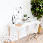 Minimalist home office with desk, chair, and plant